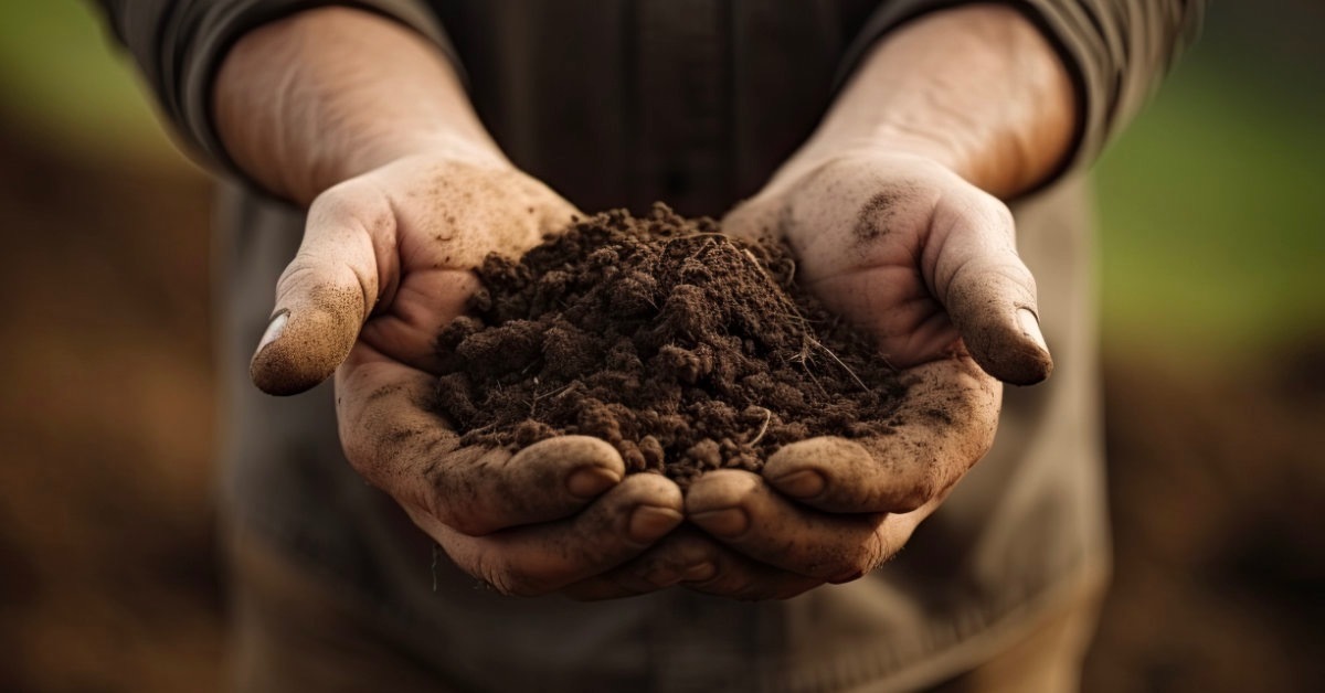 Farm soil productivity and resilience