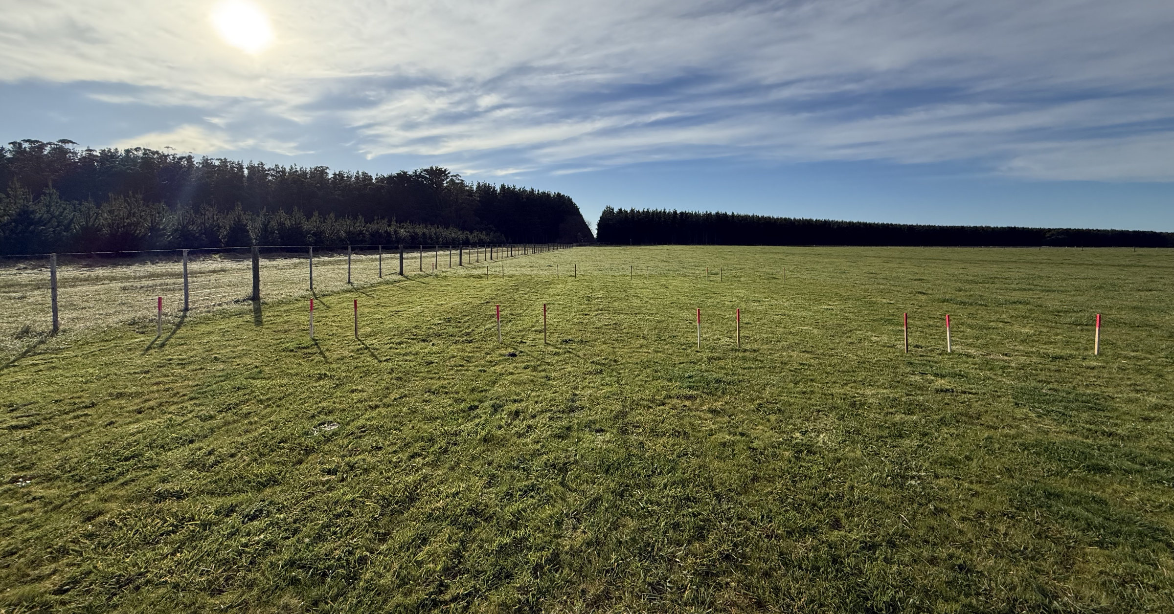 Superphosphate vs AgriGro Compost